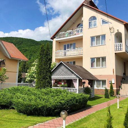 Hotel У Оксани Solochin Zewnętrze zdjęcie