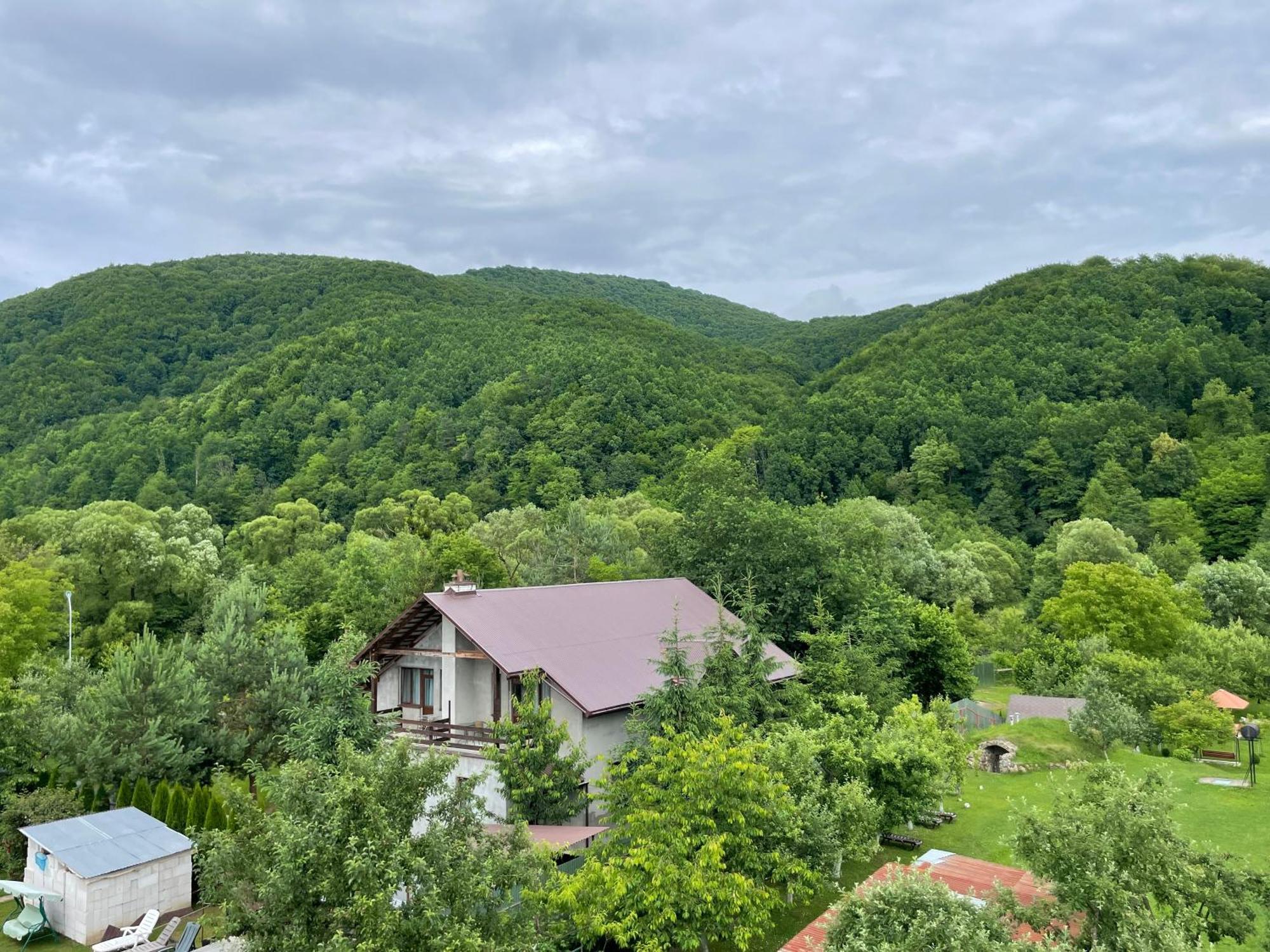 Hotel У Оксани Solochin Zewnętrze zdjęcie